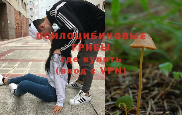 СК Алексин