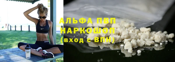 СК Алексин
