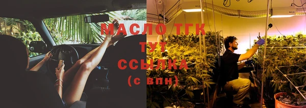 СК Алексин