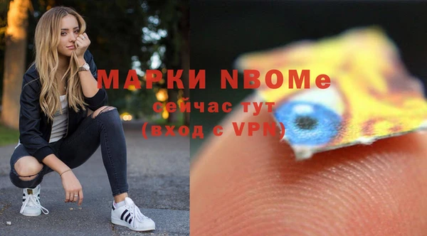 СК Алексин