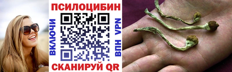 Псилоцибиновые грибы Psilocybine cubensis  Ярцево 